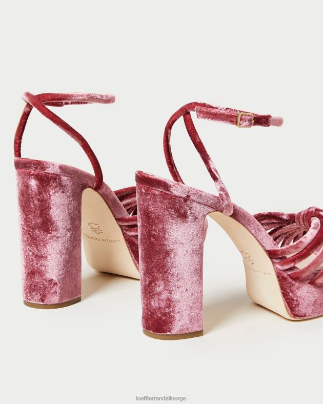 Loeffler Randall sko kvinner rivka knute plattformsandal FT8D48 te rose